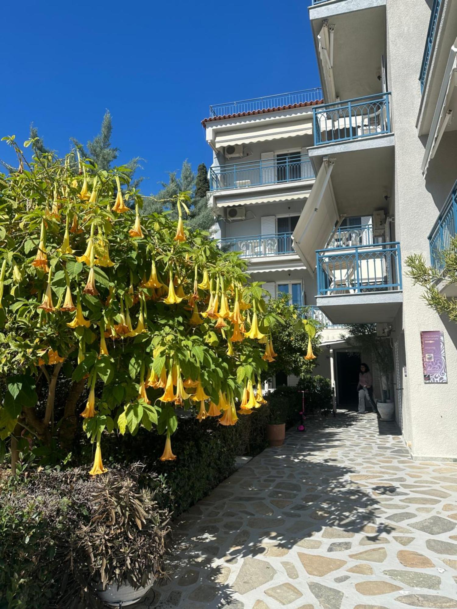 Drossinos Studios Poros Town Esterno foto