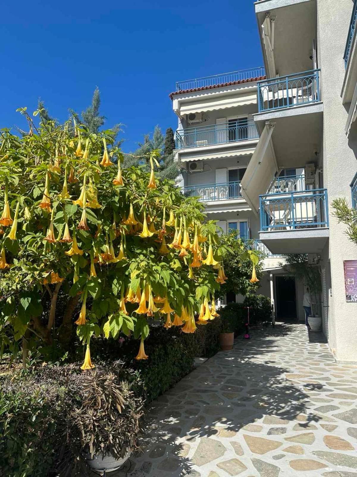 Drossinos Studios Poros Town Esterno foto